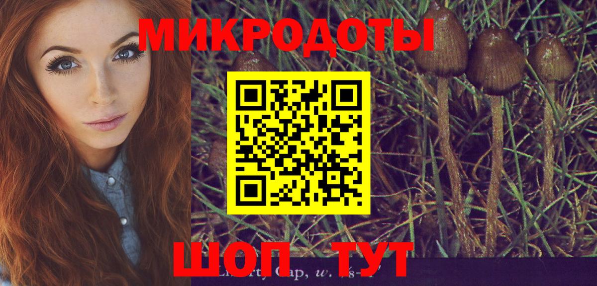 Псилоцибиновые грибы мицелий  цена   Магадан  Вход с VPN 
